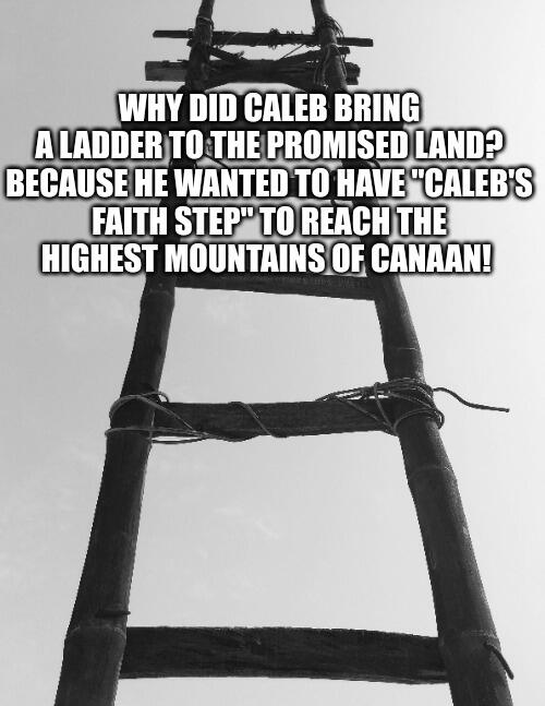 You can find the story of Caleb in the Bible in the Book of Numbers, specifically Numbers 13 and 14, as well as in the Book of Joshua. Caleb is known for his unwavering faith and his role in exploring the Promised Land with the other spies.