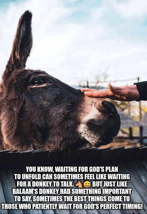 This joke playfully references the biblical story of Balaam and his talking donkey, found in Numbers 22:21-33. It humorously illustrates the idea that even though patience can be challenging, it can lead to meaningful and surprising outcomes!